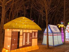 -南宫五洲植物乐园