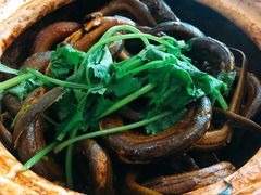 生焗黄鳝煲-台山美食一绝阿四台山黄鳝饭(阿四创作店)