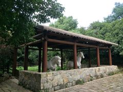 -白马涧龙池景区