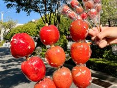 -1078號老北京涮肉(松柏店)