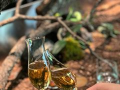 -曲廊院(东四十一条店)