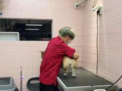 -FAELING PETS美天灵宠物(富力广场店)