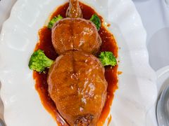 -丁老爷子苏香圆