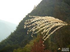 -太湖源风景区