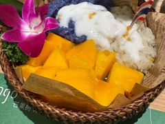 -mango tree芒果树泰国餐厅(青岛万象城店)
