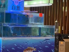 水产区-同喜烤鸭店(光芒店)