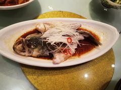 -刘胖子家常菜·蹄花焖藕(江汉路总店)