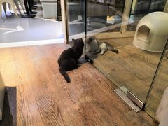 -小时光咖啡馆(开森度假森林店)