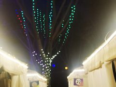 -醉二娘正宗西昌火盆烧烤(大丰店)