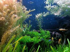 -上海海洋水族馆