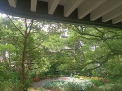 -香港大学