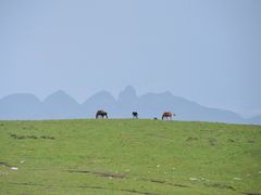 -灵山