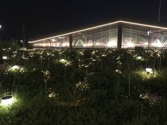 -莫子山公园