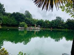 -蝴蝶泉公园
