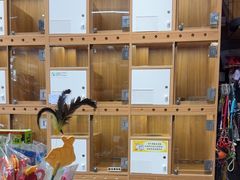 -汤姆宠物(长青北路店)