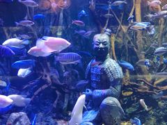 -华夏文旅海洋公园