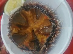 android_upload_pic-垦丁辉哥生鱼片