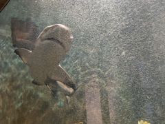 -嘉兴海底世界