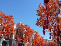 -沈阳方特欢乐世界