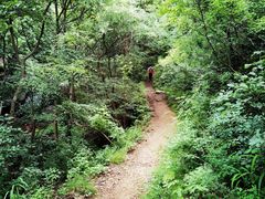 -云岫谷自然风景区