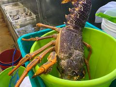 -海上人家The Sea Food Paradise Restaurant & Bar