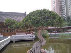 -南普公园