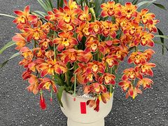 -F.Story 花和故事(新天地店)