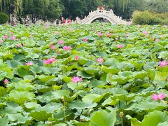 -莲池书院博物馆