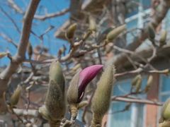 -北马山庄植趣咖啡