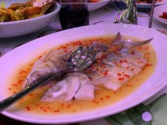 -诺莱仕游艇会