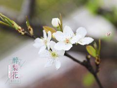 -陆家嘴世纪金融广场