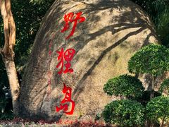 -野狸岛