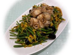 黄瓜花拌扇贝-双井轩(双井店)