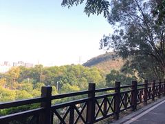 -东莞市虎英郊野公园