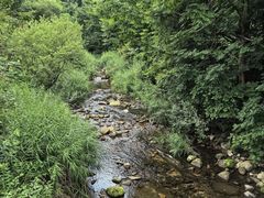 -三块石国家森林公园