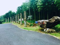 -天下银坑
