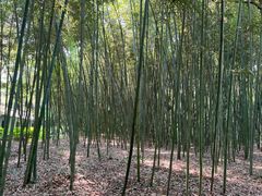 -兰亭风景区