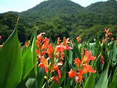 -广州市石门国家森林公园