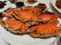 母蟹-津菜典藏河西店(水上店)