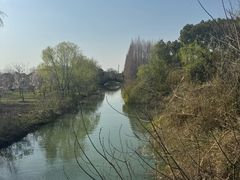 -南湖湿地公园