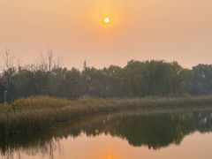 -大兴滨河森林公园