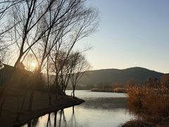 -长广溪湿地公园
