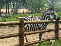 -大连森林动物园