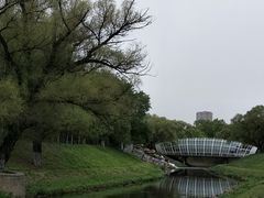 -黛秀湖公园