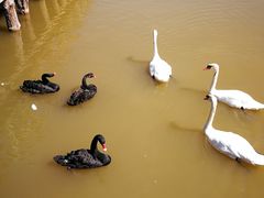 -敕勒川草原文化旅游区