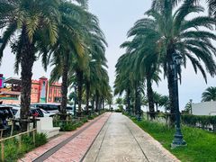-美国村