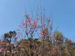 -小南山公园