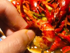 -京韵胡同·酱香羊蝎子火锅涮肉(长寿路店)