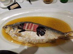 陈年花雕蒸鲥鱼-福1088