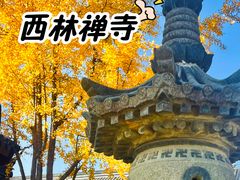 -西林禅寺